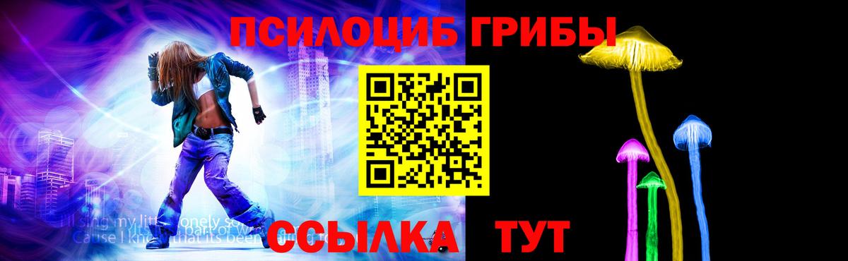 Когалым  Галлюциногенные грибы Psilocybine cubensis  Вход с VPN 